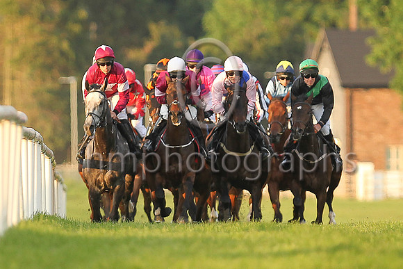01st Moratorium and Ms L O'Neill 3 ( 6 , maroon, white star,white cap ) Trainer - G Elliott , Owner - Gigginstown House Stud