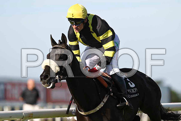 Fearless Warior Jockey J L Cullen in the lead at the paddock bend  - FT8E0929-e