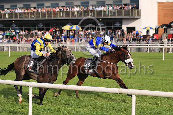 01st Lisard Lady  Wayne Lordan (13, royal blue, yellow hoop) Trainer Thomas Cooper, Owner Thomas Cooper
