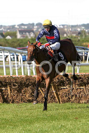 Niamh's Way 8th, Jockey M J Bolger - CU2D0103-e