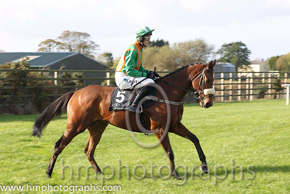 01 DoesSheEverStop & Andrew J McNamara - winner (5, emerald green and orange stripes ) - CU2D8811-7