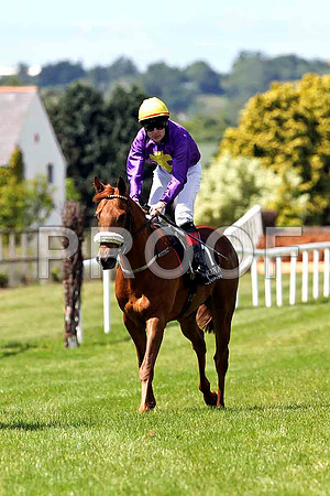 External Youth , Jockey P J Smullen 4th - FT8E1224-e