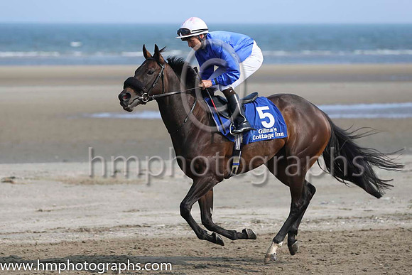 3 Acting Talent and N G McCullagh - - 3rd (5 ,royal blue, white cap ) Trainer - M C Grassick