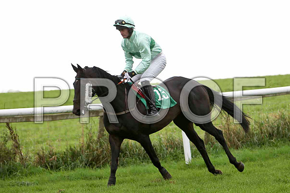 To the Left , Jockey R J Jones - 5th - CU2D2292-e