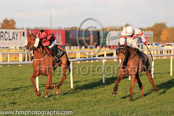 01st Tiger Sam and D Meyler ( 8 , white, red hoop ) Trainer - N Meade , Owner - Noel Meade