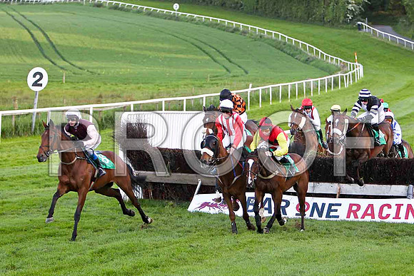Rose of Fairyhill , 4th, Jockey Mr J T Carroll in the lead after the first - FT8E3169-e