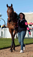 Bandra Bullet , 2nd , Jockey - E J O'Connell - CU2D9319-e