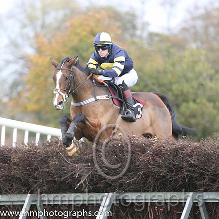 02 Serious Times and N O'Rourke - - 02nd (3 ,dark blue, yellow disc ) Trainer - Pater Maher