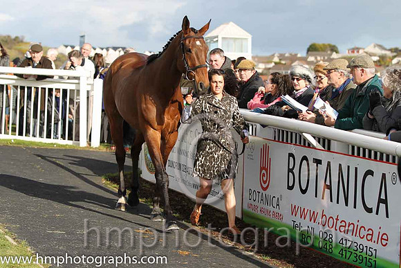 Carsonstown Boy - second in the CGA Foxhunter Chase at Cheltenham -FT8E4332-7