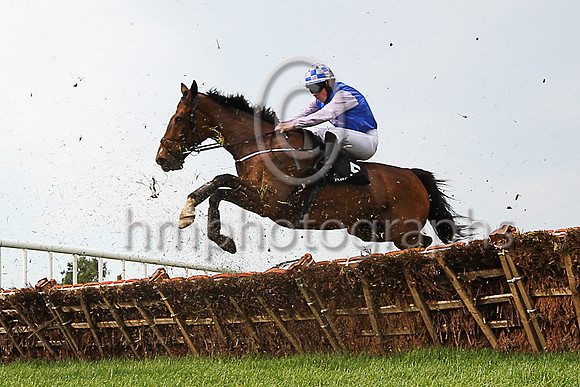 01st Misty Millie and D J Hand 7 ( 5 , blue, mauve star ) Trainer - G Donnelly , Owner - Michael Frances O?Neill