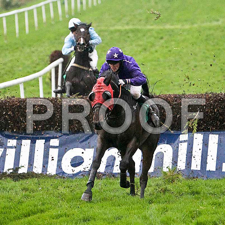 Quelas , 5th - Jockey Mr B J Foley -FT8E5423-e
