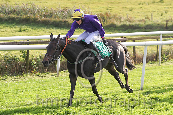 01st Whizzzey Rascal ( 10 , purple, yellow cap ) and F.Maguire (7) - Trainer : Miss Elizabeth Doyle - Owner : BK Racing Partnership