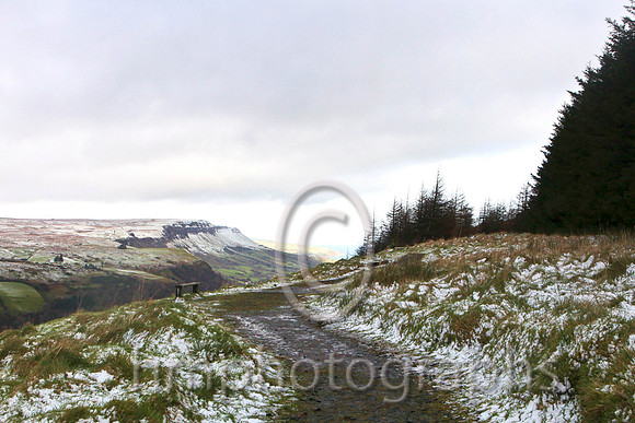 Glenariff Glen - IMG_9775-e2t