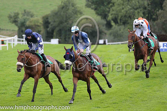 07th Anna Holty and M A Enright ( 10 , dark blue, white stars on sleeves ) Trainer - David Kelly , Owner - Nolan, Ahern, Ryans Syndicate