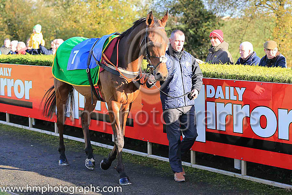 01st Valseur Lido and R Walsh ( 7 , maroon, white star, blue cap ) Trainer - H de Bromhead , Owner - Gigginstown House Stud