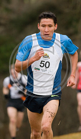 IMG_8508-e3a4j.jpg