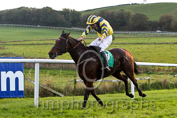 Three Monkeys - Jockey Mr P W Mullins - 2nd - FT8E4495-e