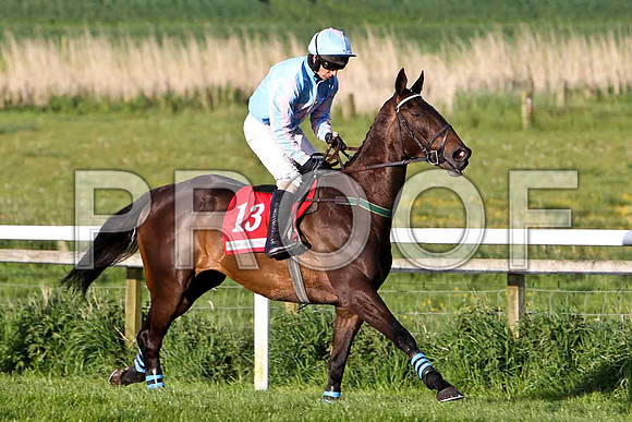 Mr Springer , Winner , Jockey - T P Treacy - FT8E3077-e2