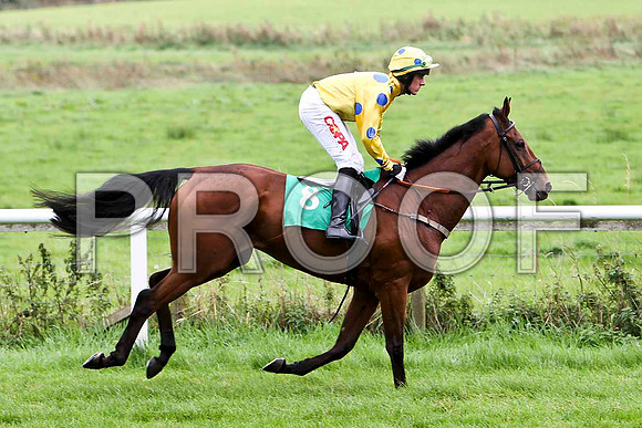 Lets Go Sunshine , Jockey Mr B O'Neill - Winner - CU2D2346-e