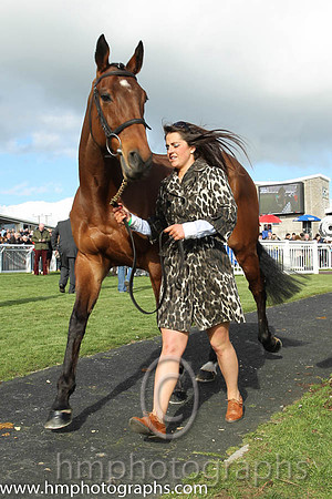 Carsonstown Boy - second in the CGA Foxhunter Chase at Cheltenham - CU2D1205-15