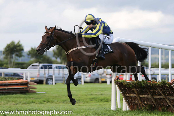 Bobarlee and Paul Townend (1, dark blue, yellow stars), trainer W P Mullins