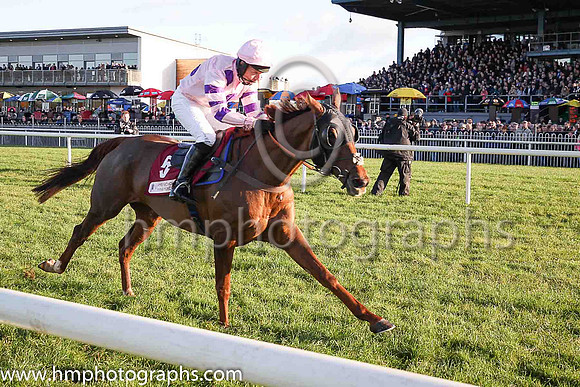 02nd Silviniaco Conti and N D Fehily ( 5 , pink,large purple spots ) Trainer - P F Nicholls , Owner - Chris Giles  Potensis Bloodstock Ltd