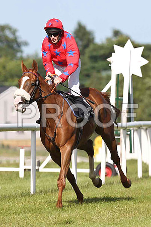 Contra Mundum 8th, Jockey M C Hussey- FT8E1392-e