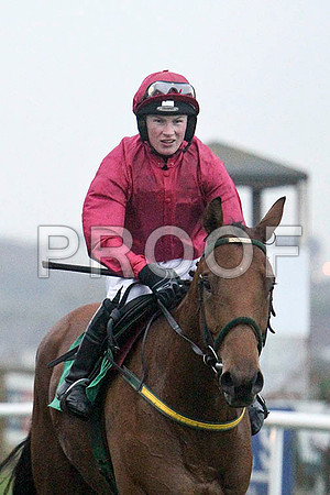 Griesenau , 3rd, Jockey - Miss N Carberry - FT8E5609-e