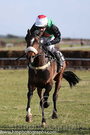 05 The Sophster (17)  N McParlan - Trainer : Ben Arthey, Green, red diamond
