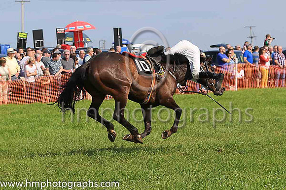 TULLYORIOR and R A Devine ( 10 , PURPLE; white sleeves; red cap,white star ) Trainer: Catherine Barry , Owner : Catherine Barry