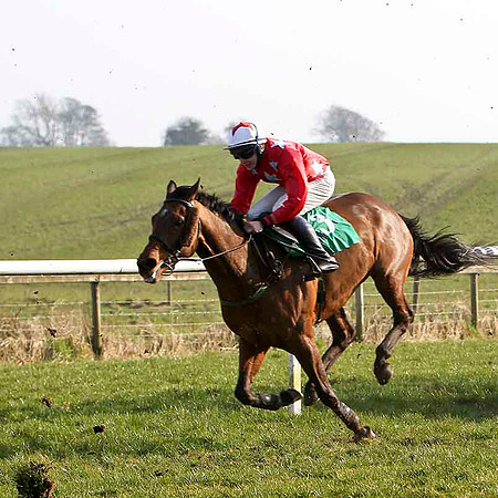 Three Monkeys - 5th, Jockey D J Bates - FT8E0463-e