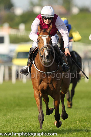 02nd Wild Caprice and H.C. Swan(7) (7 ,brown, beige sleeves ), Trainer:John Patrick Ryan , Owner:John Patrick Ryan
