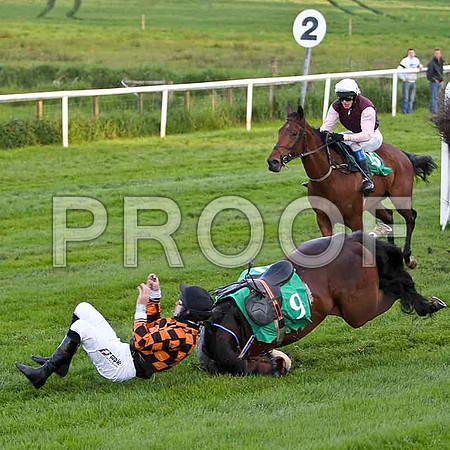 Mister Philson , Fell, Jockey Derek O'Connor - FT8E3211-e2