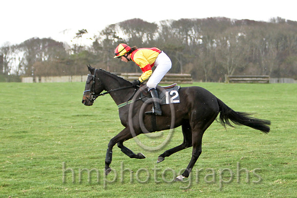Paddys Angel & Ms K Ferris - joint winner (12, yellow, red cross belts) - FT8E9450-e2a