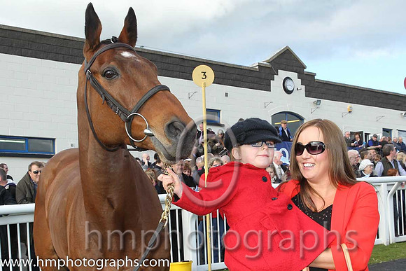 Carsonstown Boy - second in the CGA Foxhunter Chase at Cheltenham -CU2D1217-30
