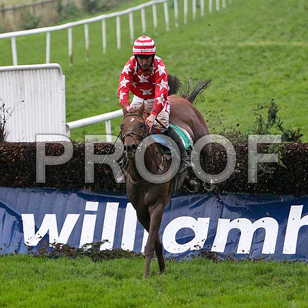 Fitzgutentyte , 6th - Jockey D N Russell -FT8E5433-e