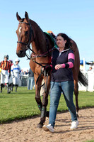 Bandra Bullet , 2nd , Jockey - E J O'Connell - CU2D9322-e