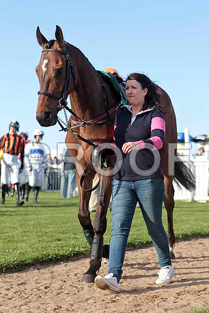 Bandra Bullet , 2nd , Jockey - E J O'Connell - CU2D9322-e