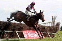 Ceithre Delta , 2nd, Jockey Derek O'Connor - CU2D4570-e