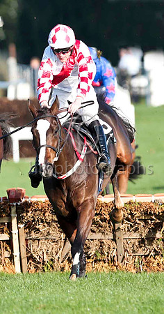 Kalann 2nd , Jockey M Darcy - CU2D9717-e6