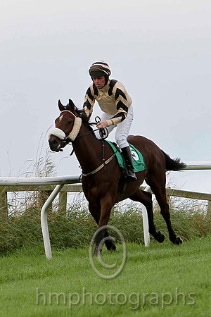 Bank the Bucks , Jockey B W Cash  - 10th - CU2D2216-e