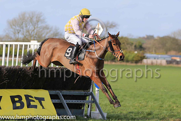 01st TANGO THEATRE and S Connor ( 9 , PINK  YELLOW CHECK; pink sleeves; yellow cap ) Trainer: Warren Ewing,, Owner : Warren Ewing