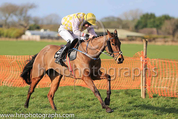 01st TANGO THEATRE and S Connor ( 9 , PINK  YELLOW CHECK; pink sleeves; yellow cap ) Trainer: Warren Ewing,, Owner : Warren Ewing