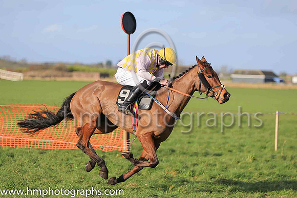 01st TANGO THEATRE and S Connor ( 9 , PINK  YELLOW CHECK; pink sleeves; yellow cap ) Trainer: Warren Ewing,, Owner : Warren Ewing