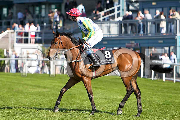 Watchmetail - 4th, Jockey Mr J T Carroll - FT8E2234-e