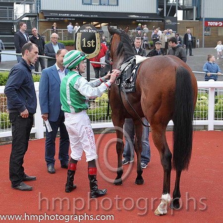 01 Primo Uomo & P J Smullen - winner (5, emerald green, grey braces ) - CU2D2678-12
