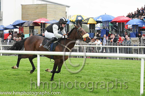 02 Ballintotty Boy & Mr P A King - 2nd (2, black, grey diamonds) - CU2D1851-31