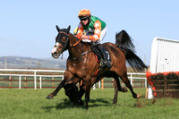01st No Thanks   and D P Maxwell ( 7 , green, white star ) Trainer - M J Smith , Owner - Rory Doyle