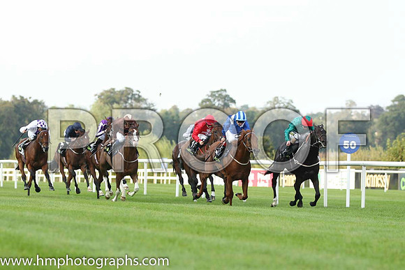 01 Bow Creek and J Fanning - - 01st (6 ,dark green, red cap ) Trainer - M Johnson