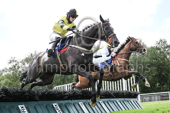 13th Glenbank King  ( 14 , yellow ) Trainer - L Smyth , Owner - Victor Robinson